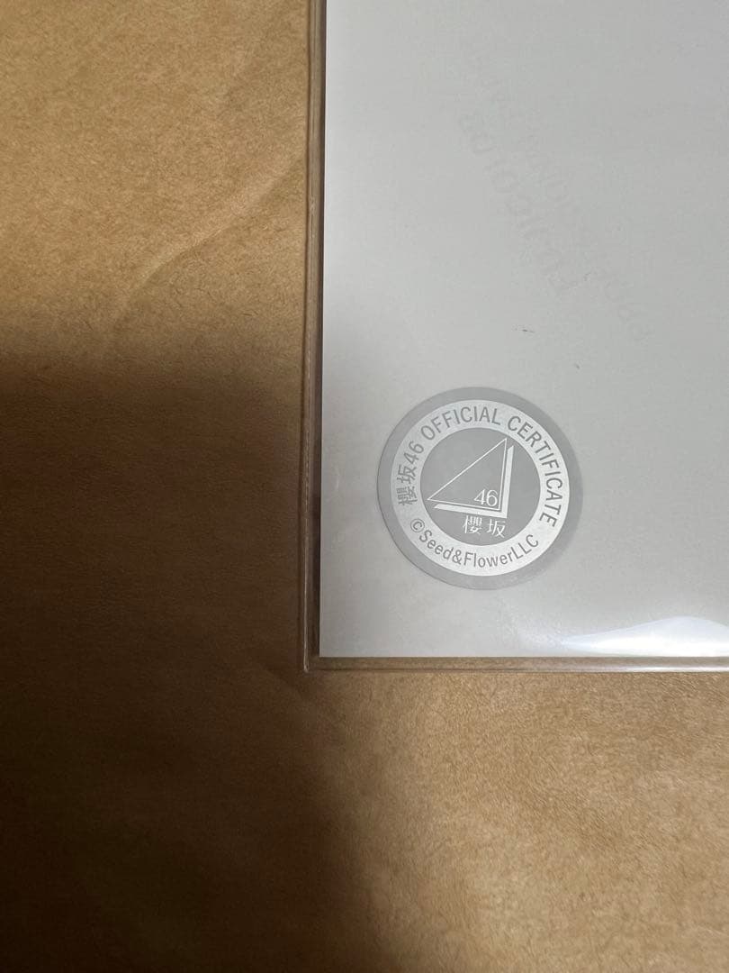 櫻坂46 田村保乃　直筆サイン入り2024年クリスマスサンタ衣装　ヒキ　生写真