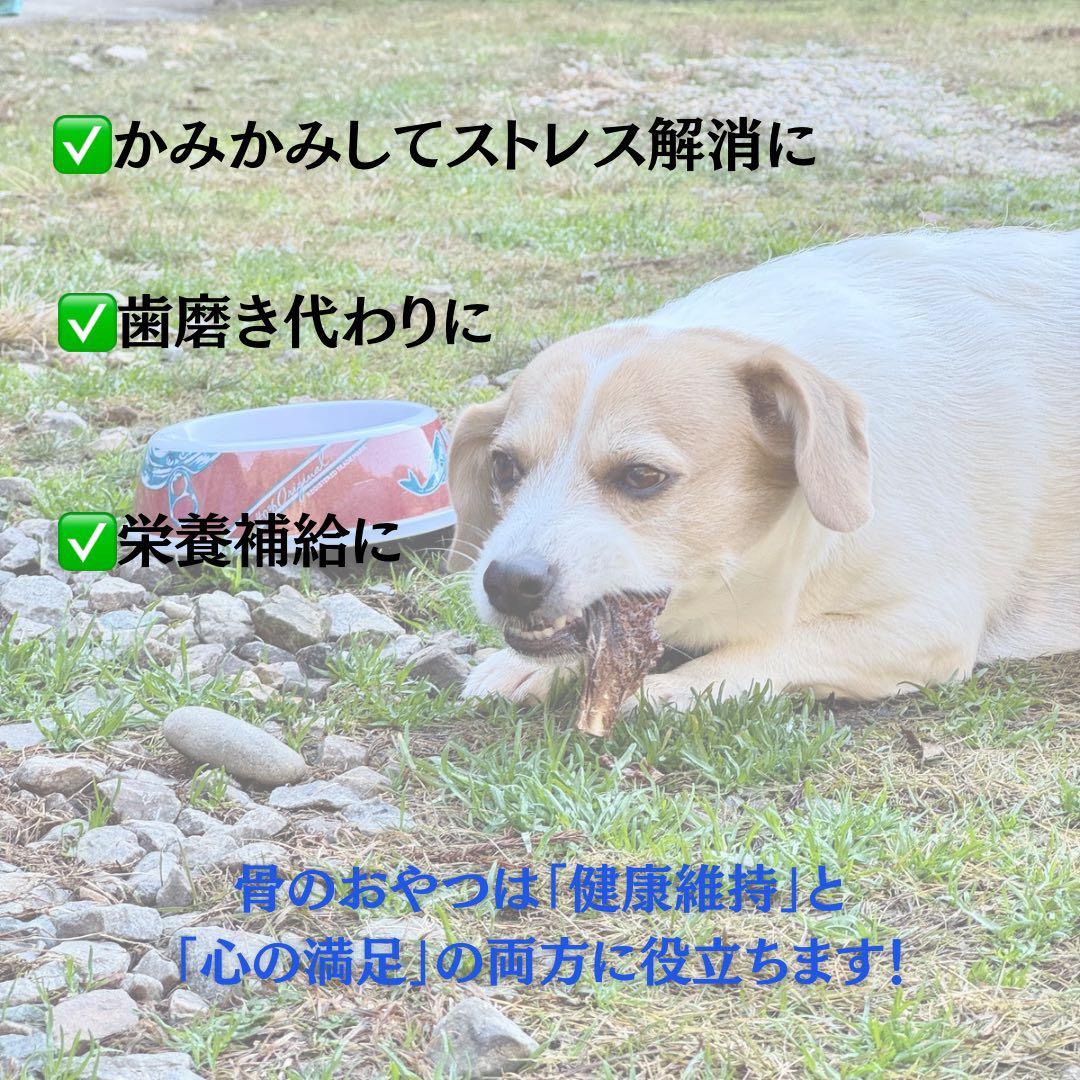 お得用‼️1000g 鹿あばらジャーキー 中小型犬向けサイズ　鹿肉ジャーキー