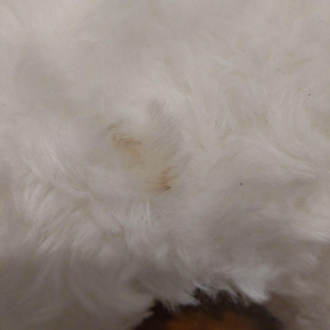 ぬいぐるみ アライグマ べべちゃん 昭和 レトロ ヴィンテージ あらいぐま