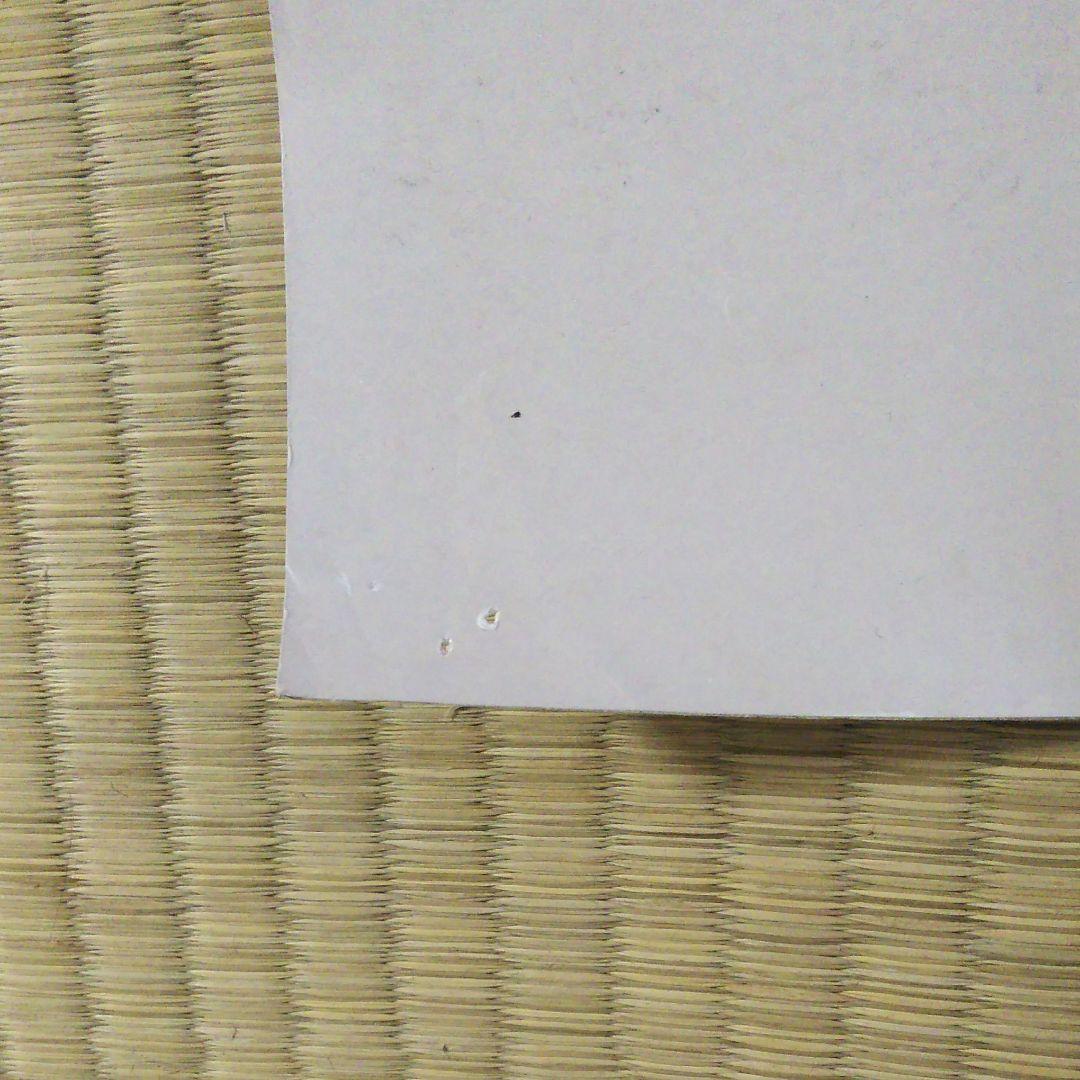 Supreme ルーリード ポスター