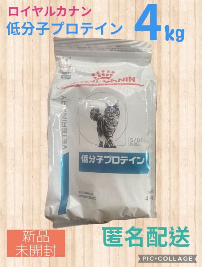 【新品・未開封】 CANIN 低分子プロテイン4kg　 2026/8