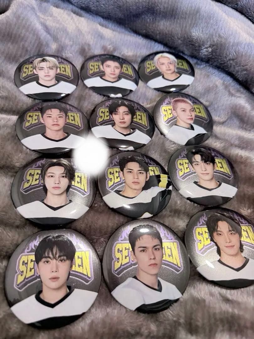 SEVENTEEN2025バッジ12個