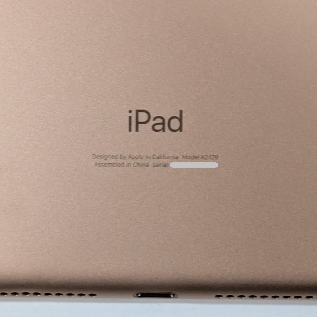 iPad 第8世代 Wi-Fi + Cellular◆32GB◆A2429