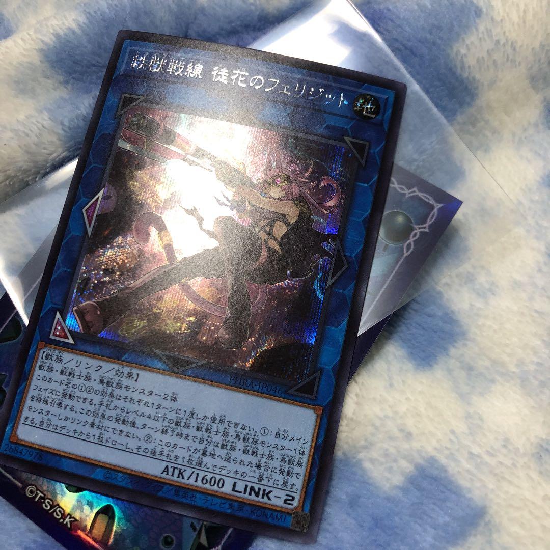 フェリジット 確認用