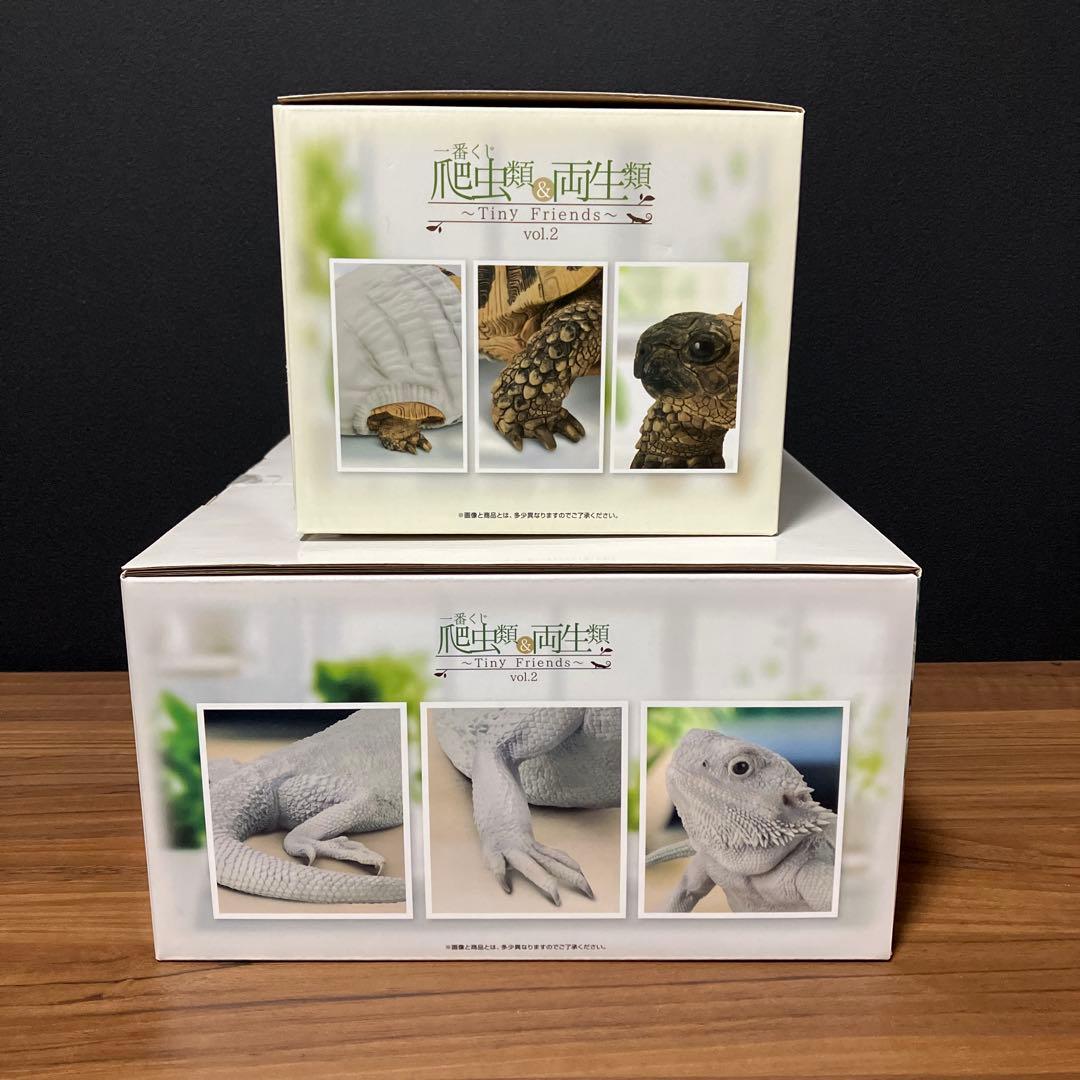 一番くじ 爬虫類 両生類 フトアゴヒゲトカゲ ヘルマンリクガメ フィギュア