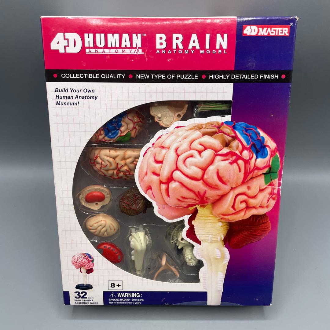 3点セット スカイネット 立体パズル 4D VISION 人体解剖