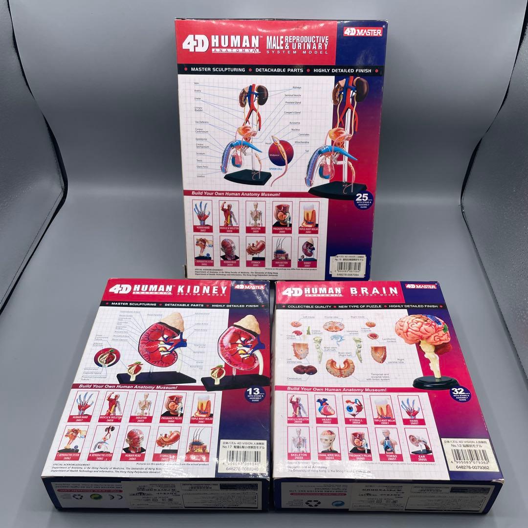3点セット スカイネット 立体パズル 4D VISION 人体解剖
