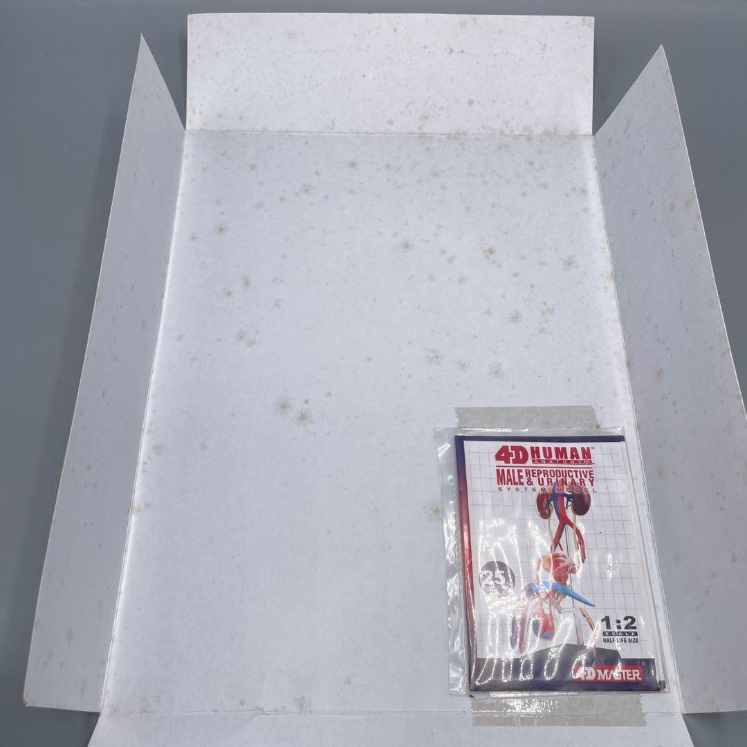 3点セット スカイネット 立体パズル 4D VISION 人体解剖