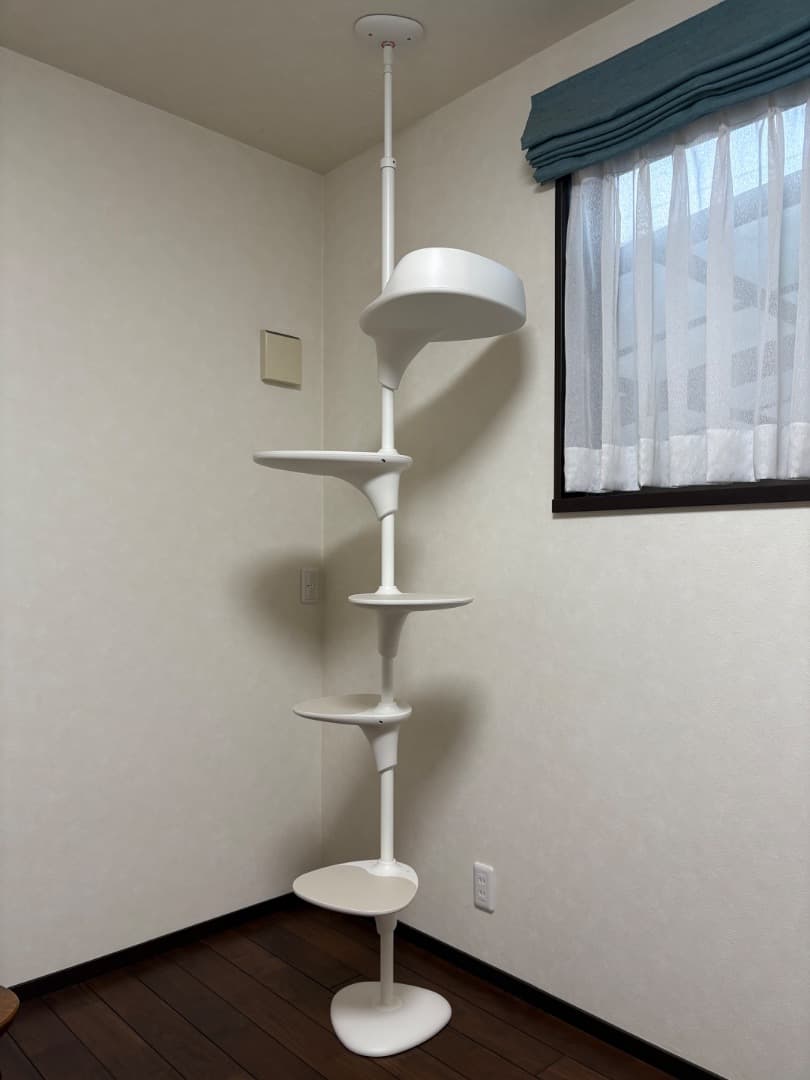 OPPO CatForest-2 ホワイト