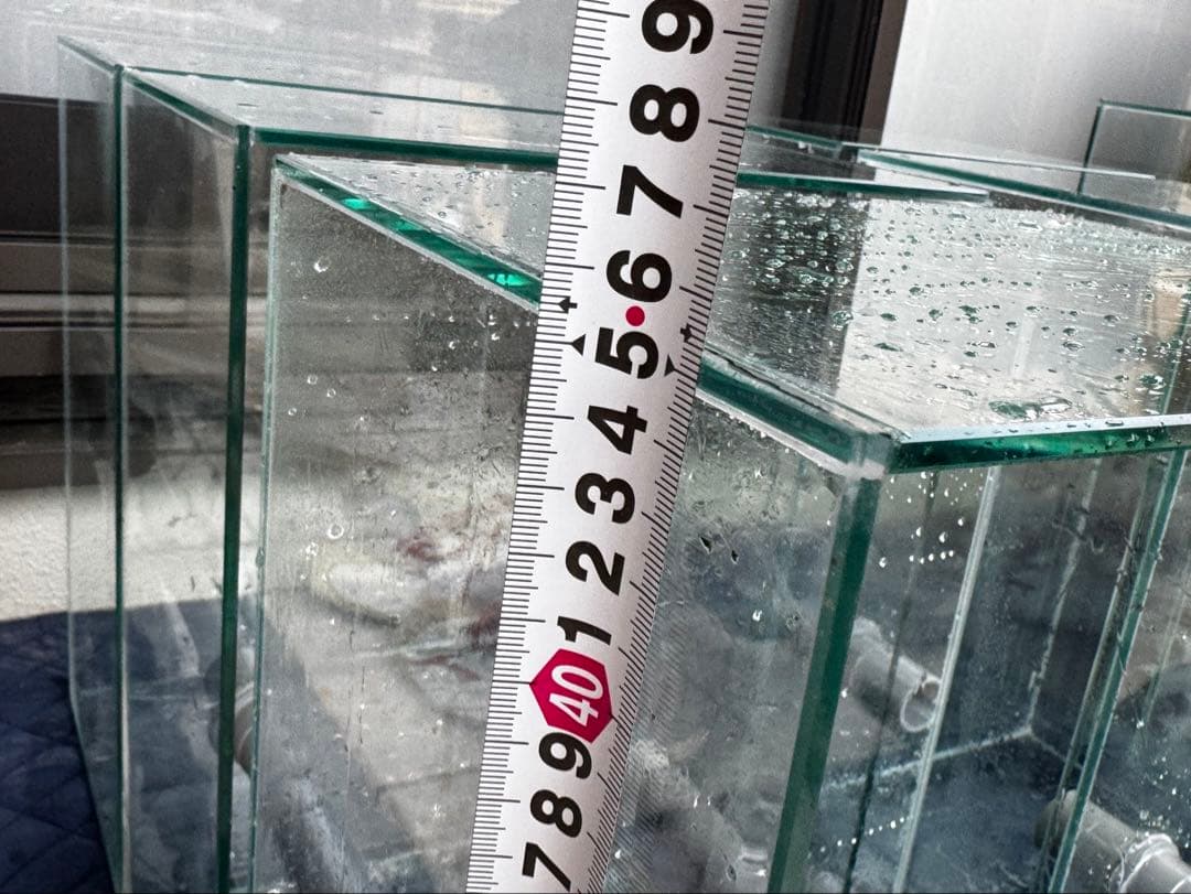水槽　ガラス製　6個セット