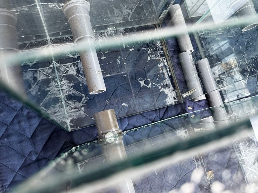 水槽　ガラス製　6個セット