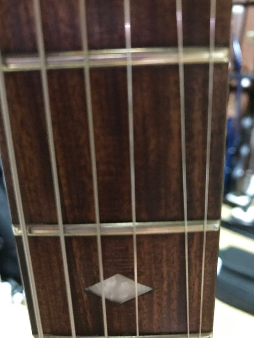 HIDEモデル FERNANDES MG-100X アメーバペイズリーペイント