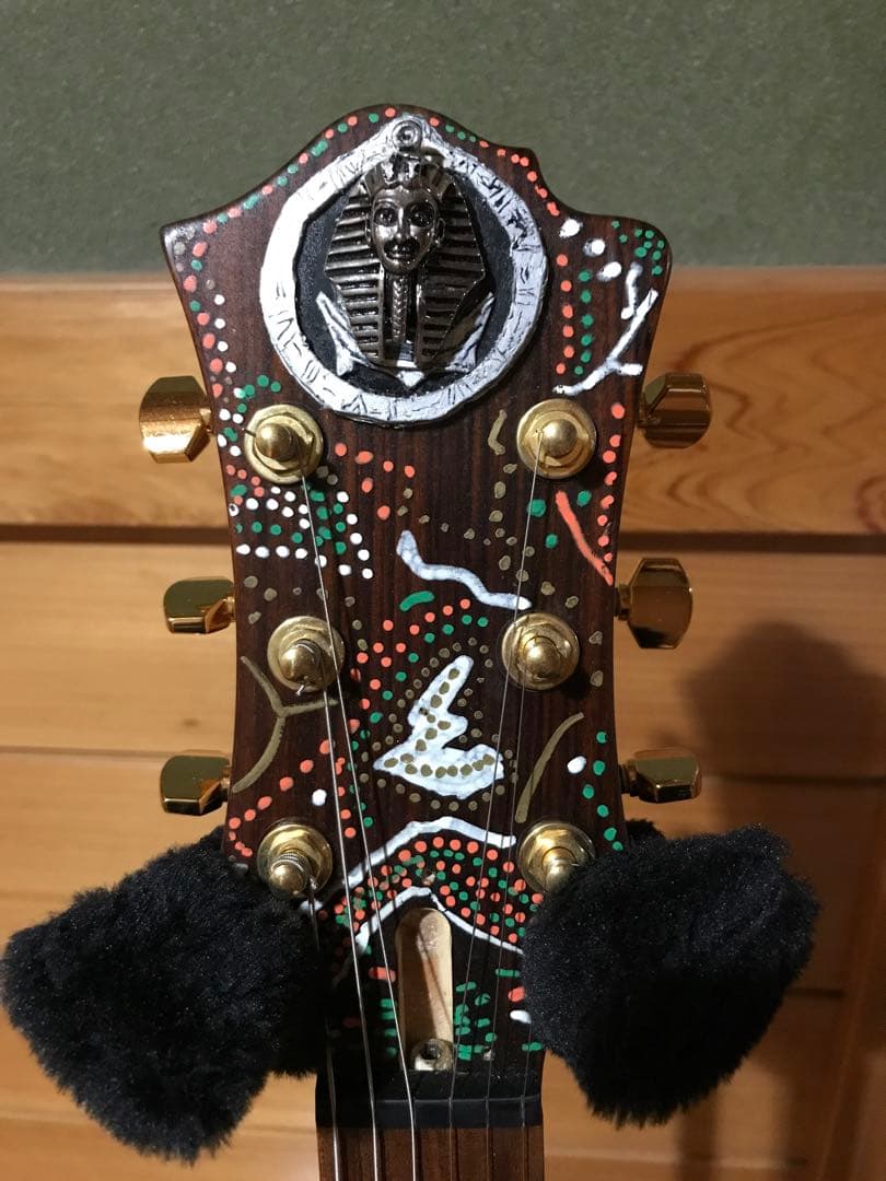 HIDEモデル FERNANDES MG-100X アメーバペイズリーペイント