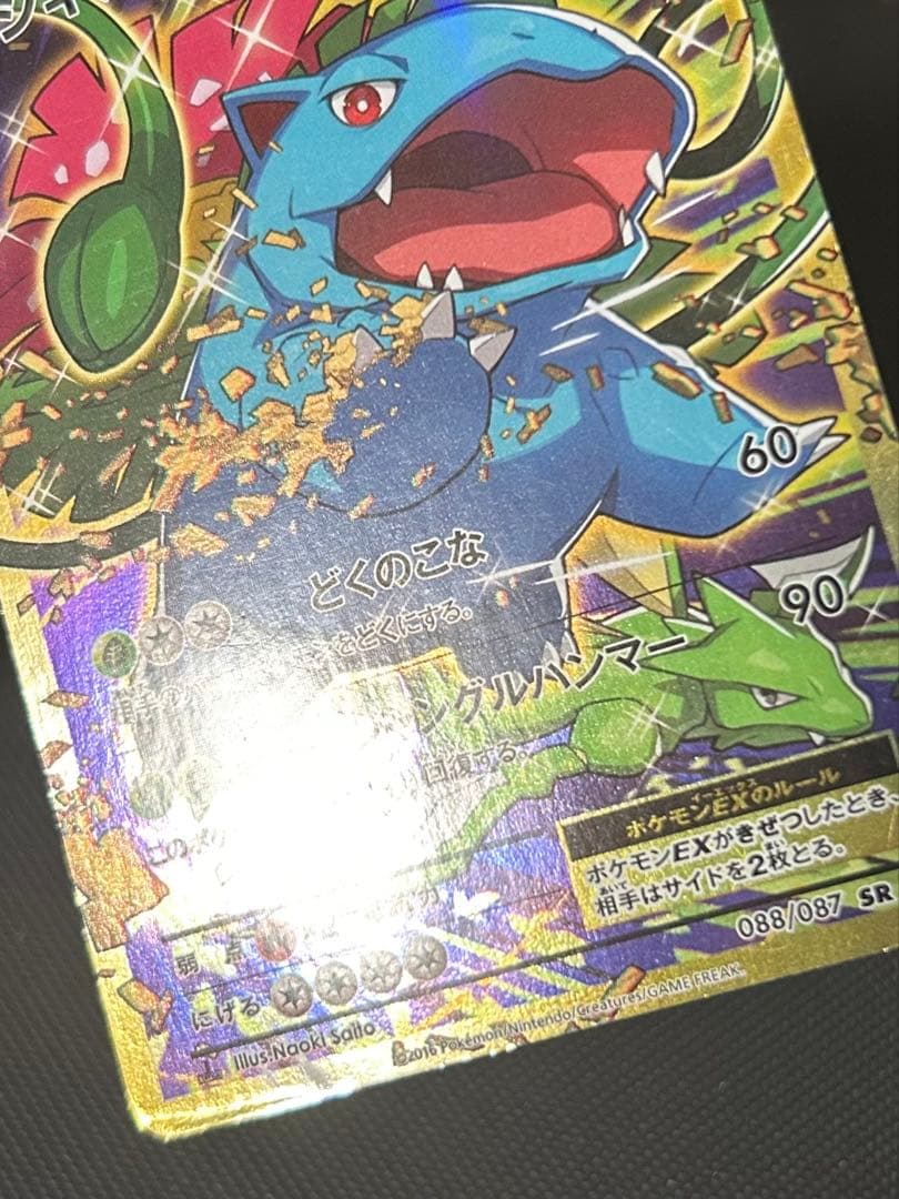 フシギバナEX カメックスEX SR CP6 20th 2枚セット