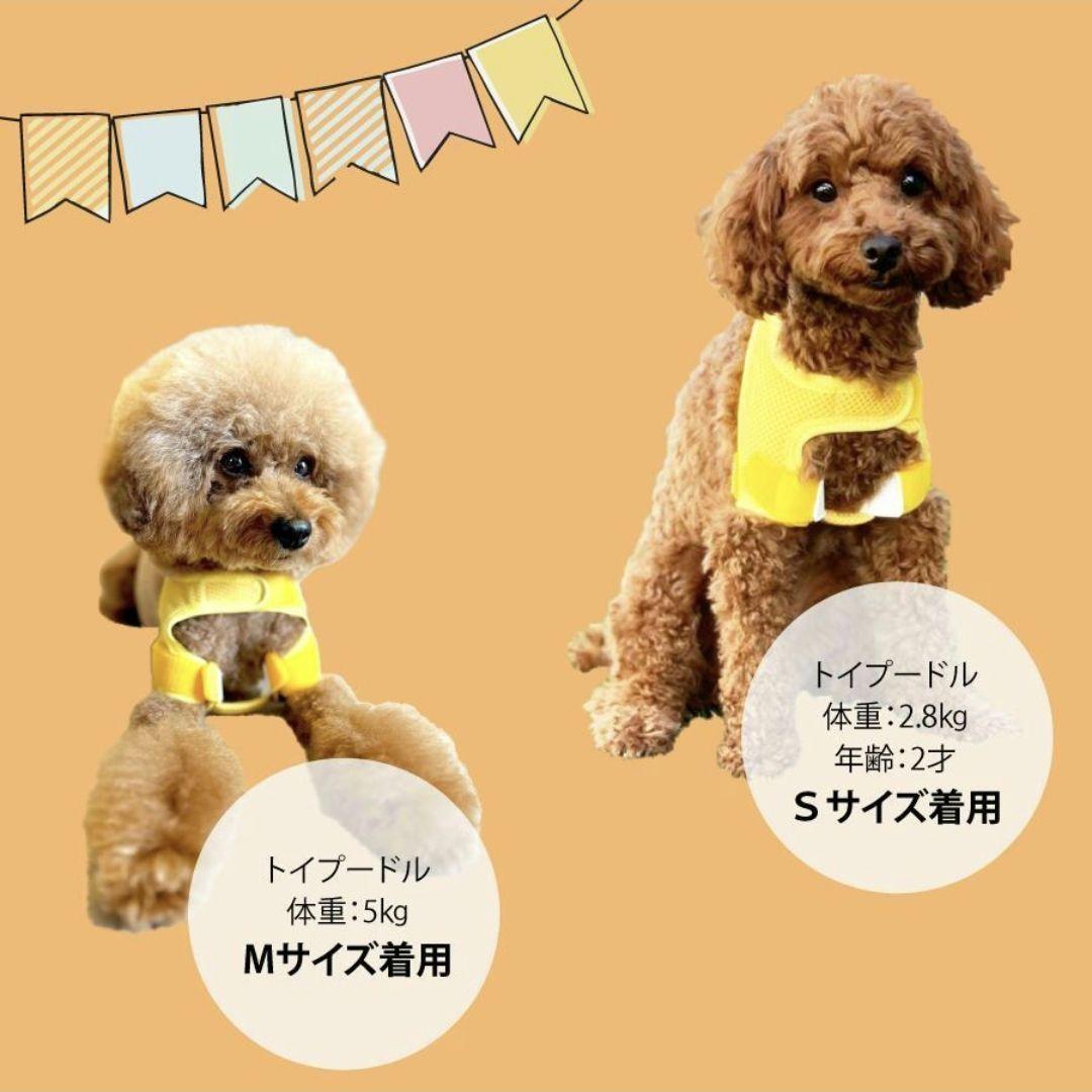 。さん　ご依頼分　肩関節ホールドショルダー　holdshoulder 肩脱臼