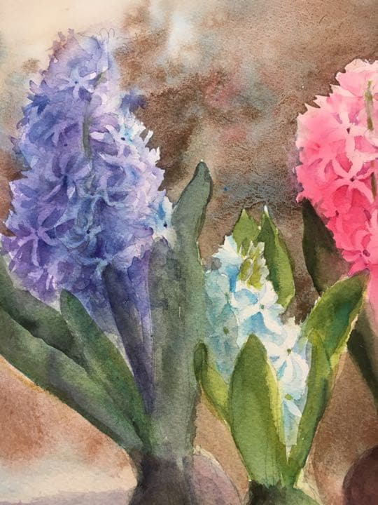 水彩画原画ヒヤシンス