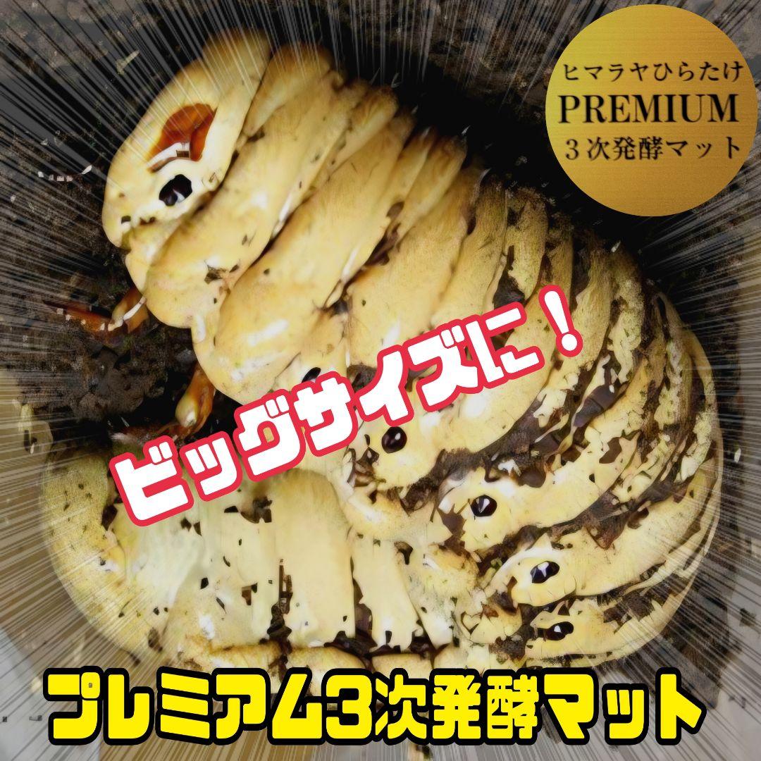 極上！プレミアム3次発酵カブトムシマット【40L】ヘラクレス181ミリ羽化実績！