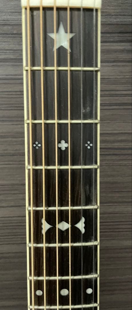 Washburn アコースティックギター ハードケース付き　つるの剛士サイン入り