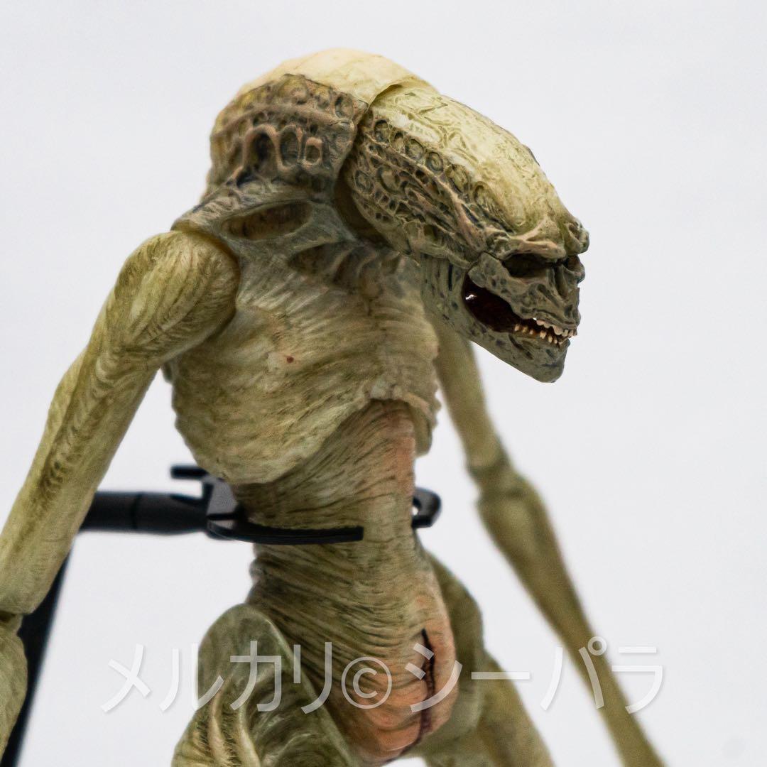 NECA エイリアン　ニューボーン