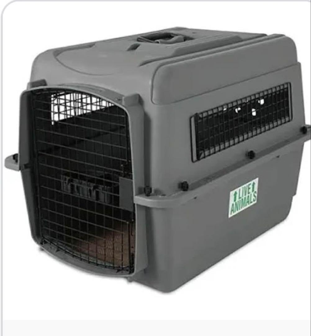 美品/犬 猫 ハード キャリーケース ハードクレート 飛行機輸送 車移動 ②