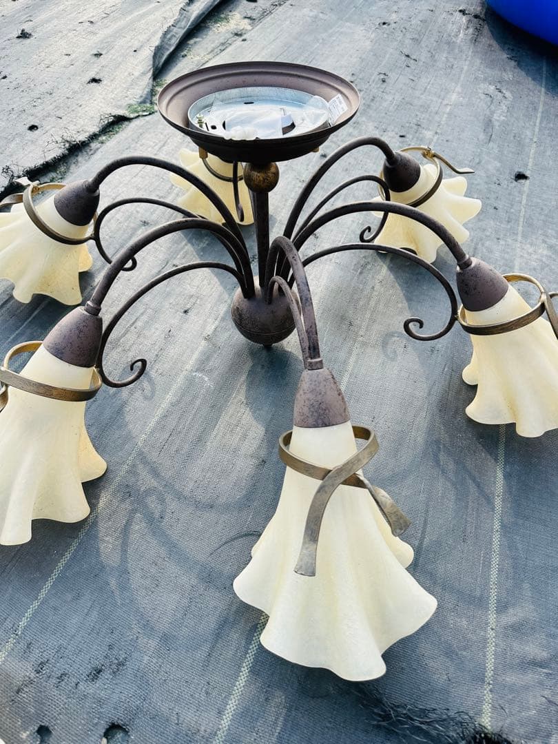 IDC フロストガラスシェードの6灯シャンデリア 大塚家具