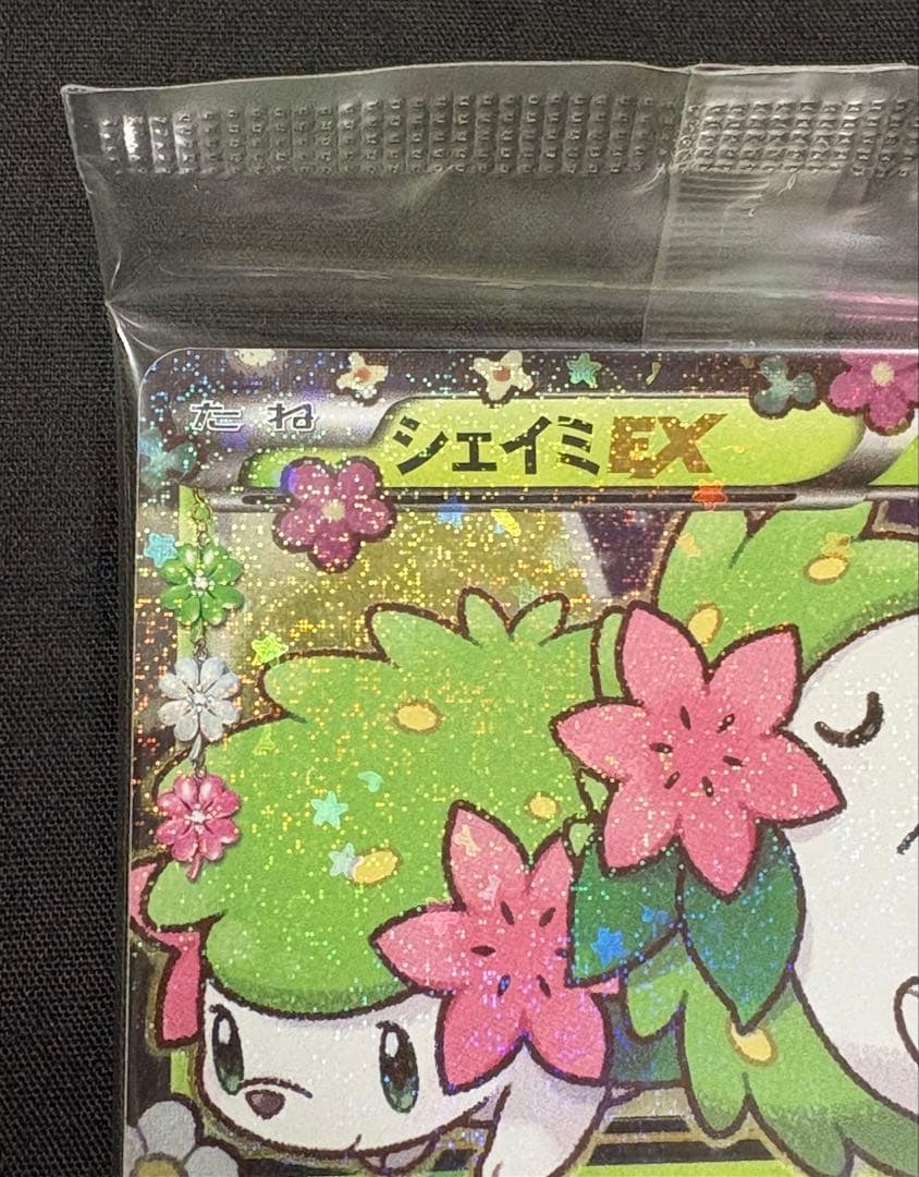 ポケカ　シェイミEX　ポケキュン　プロモカード