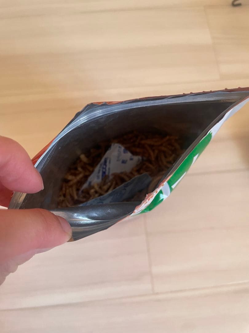 ハリネズミ小物セット