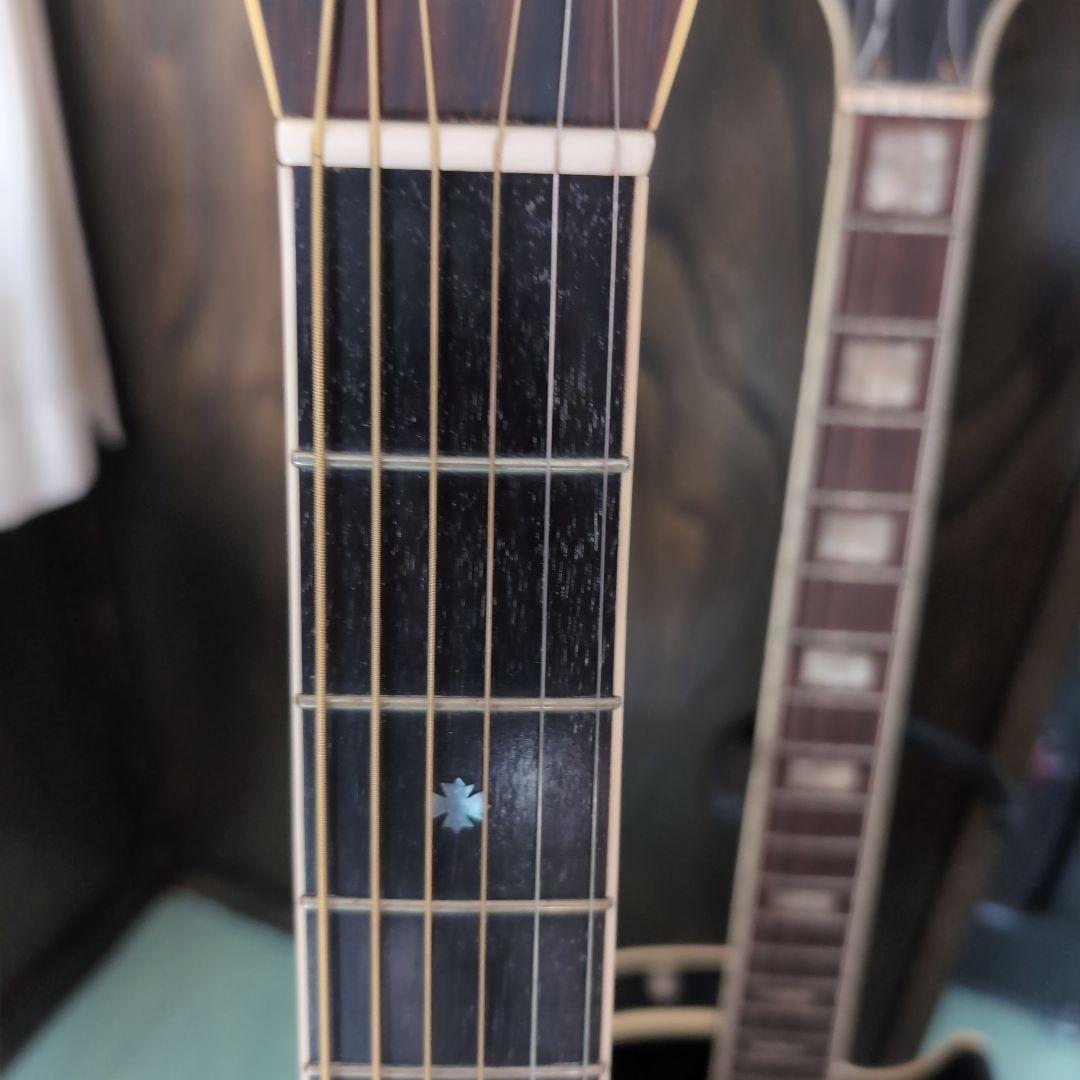 Cat's Eyes キャッツアイ　ハカランダ CE-800　超美品‼