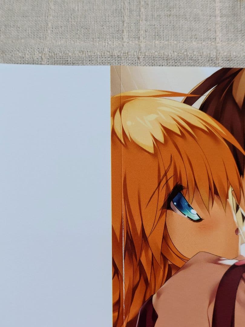 星刻の竜騎士（ノベル版）特典ブックカバー　8枚セット