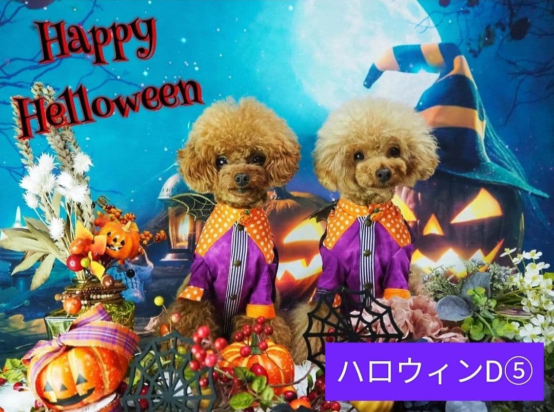 背景布ハロウィン　ペット撮影用フォトブース　業務用トリミングチョーカー販売中