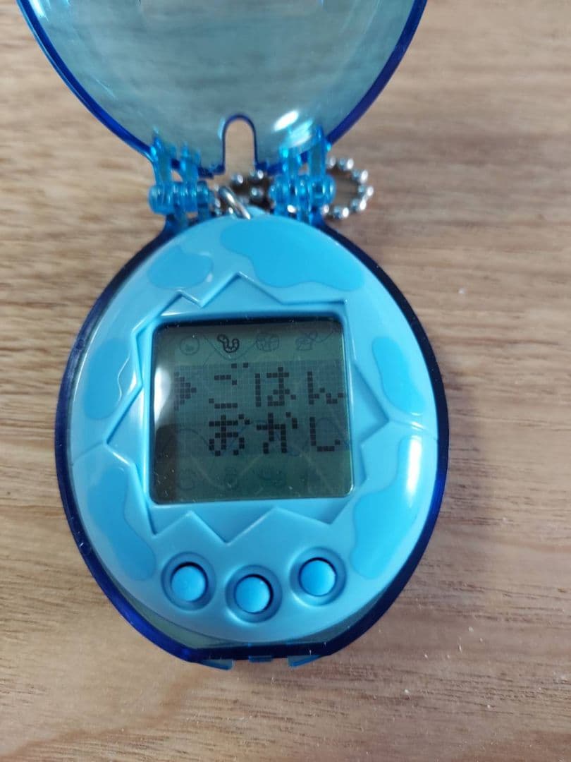 海で発見！　たまごっち　専用ケース　セット出品　オマケシール付き