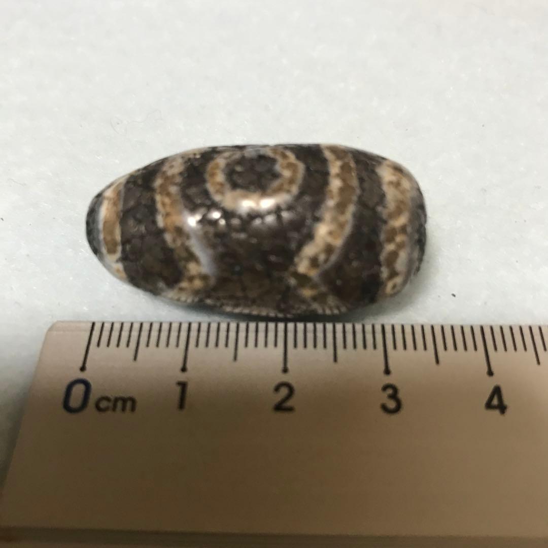 超激レア珍品‼︎ 古代老礦石　たまご型蓮花三眼天珠　マニア向け　フジヤマ