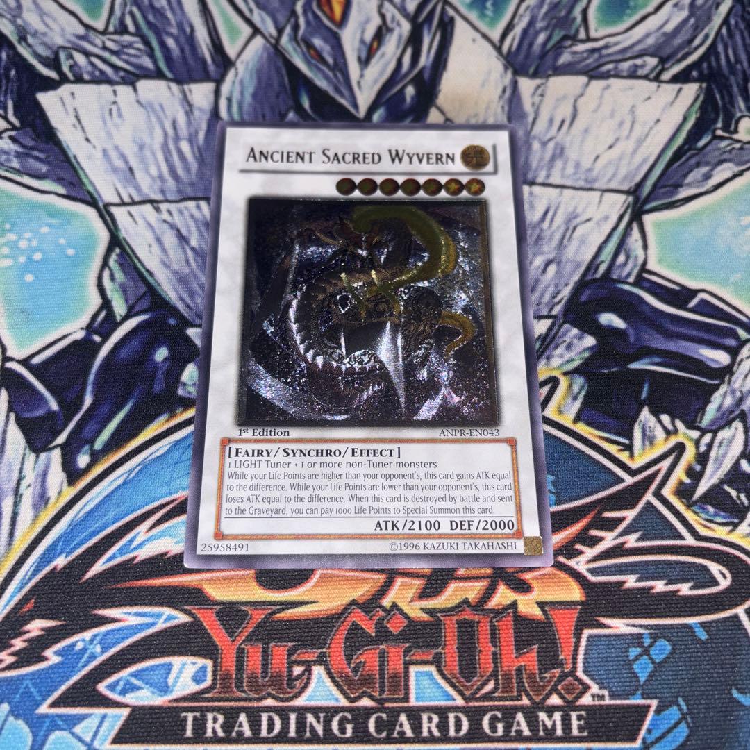 北米版 エンシェントホーリーワイバーン 1st レリーフ 深掘り個体 遊戯王