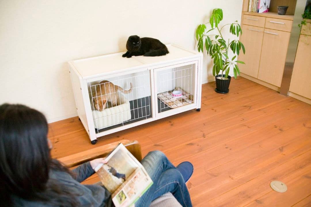 kiinus ペット ケージ ハウス AS120 オフホワイト