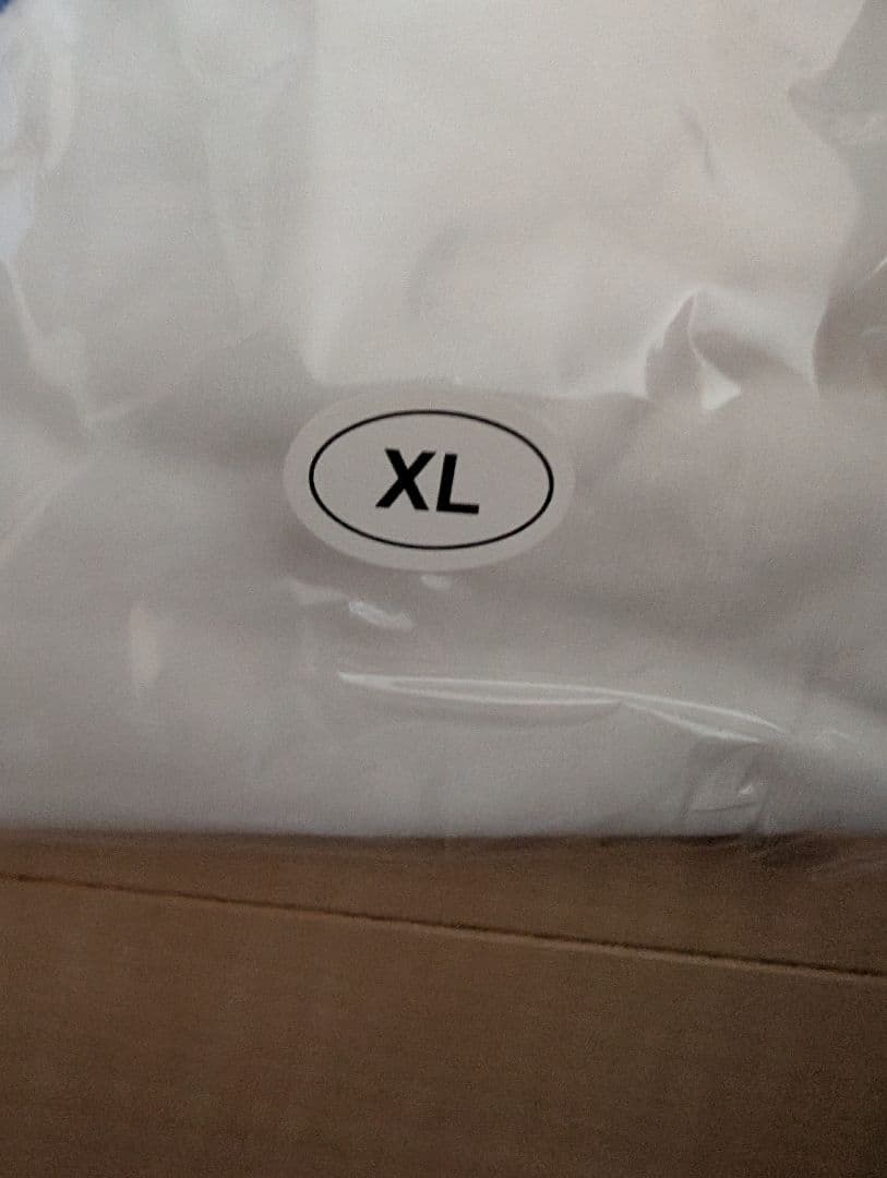 新しい学校のリーダーズ　公式青春日本代表Ｔシャツ XL 　超レア