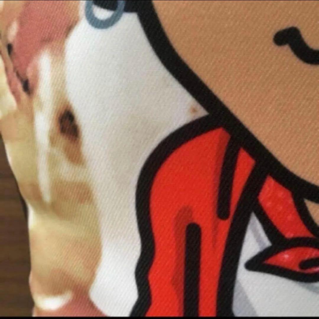 THE RAMPAGE ランペ ジャパラン RIKU 青山陸クッション