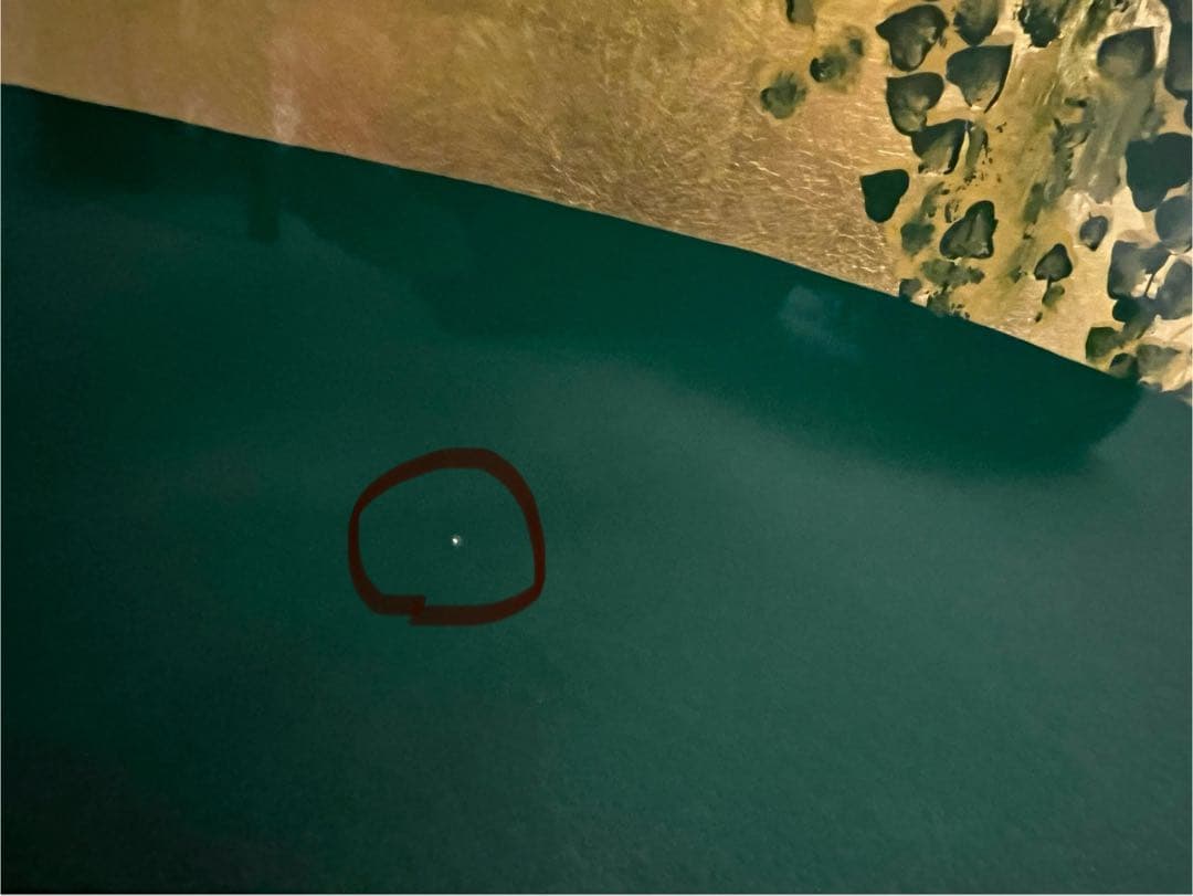 金箔　漆塗り　蔦の細道図　屏風