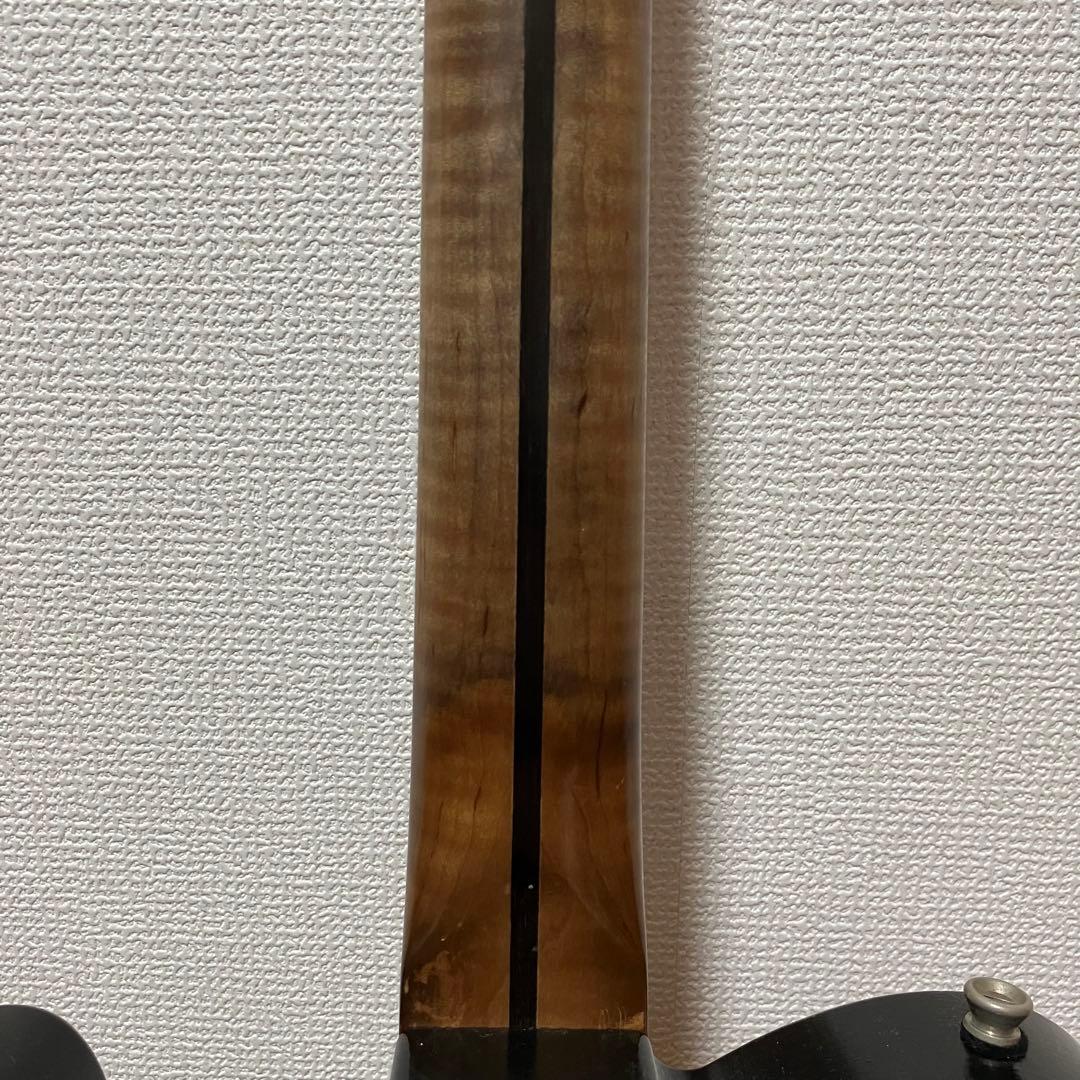 Delicious Taylor made RogueSnake テレキャス