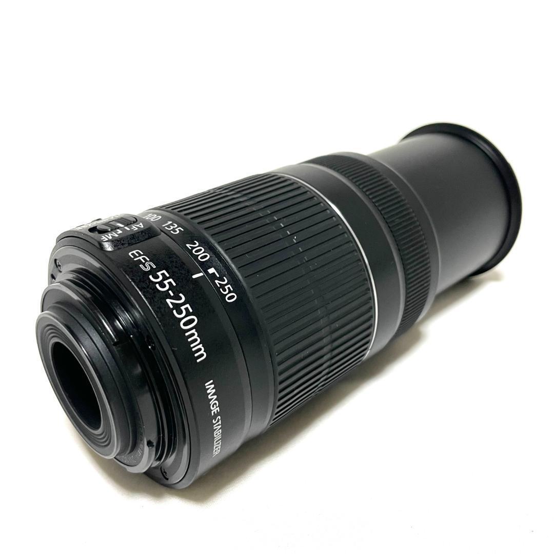 野鳥も撮れる❣️ Canon EF-S 55-250mm IS II 望遠ズーム