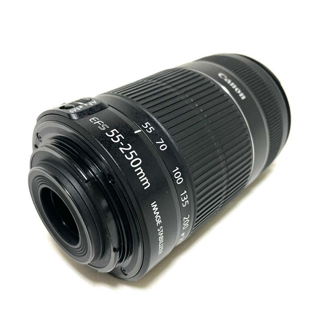 野鳥も撮れる❣️ Canon EF-S 55-250mm IS II 望遠ズーム