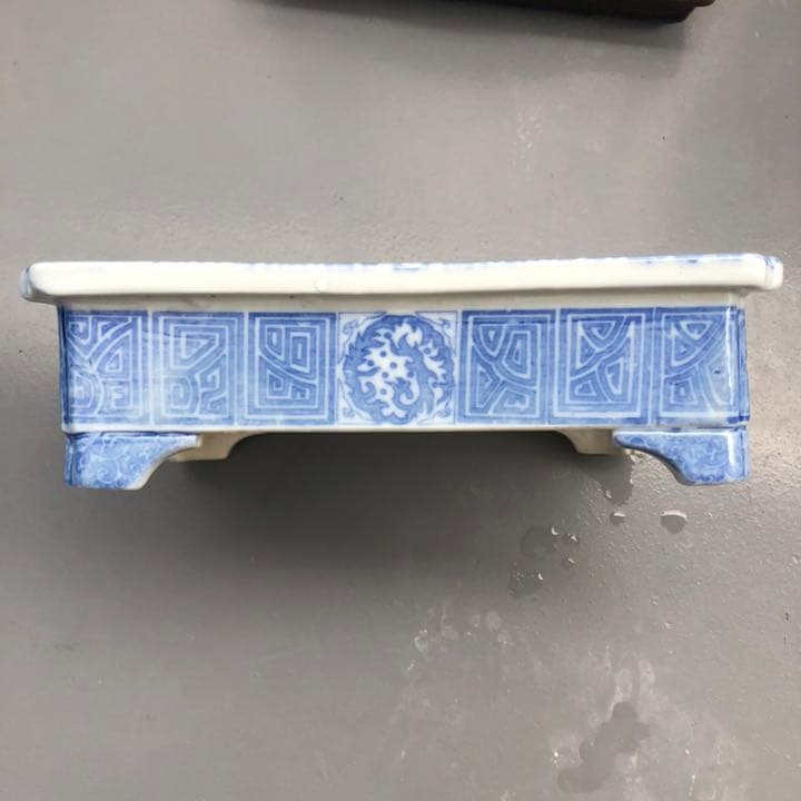 水盤 尾張焼 瀨戶焼 盆栽鉢 植木鉢 日本古鉢