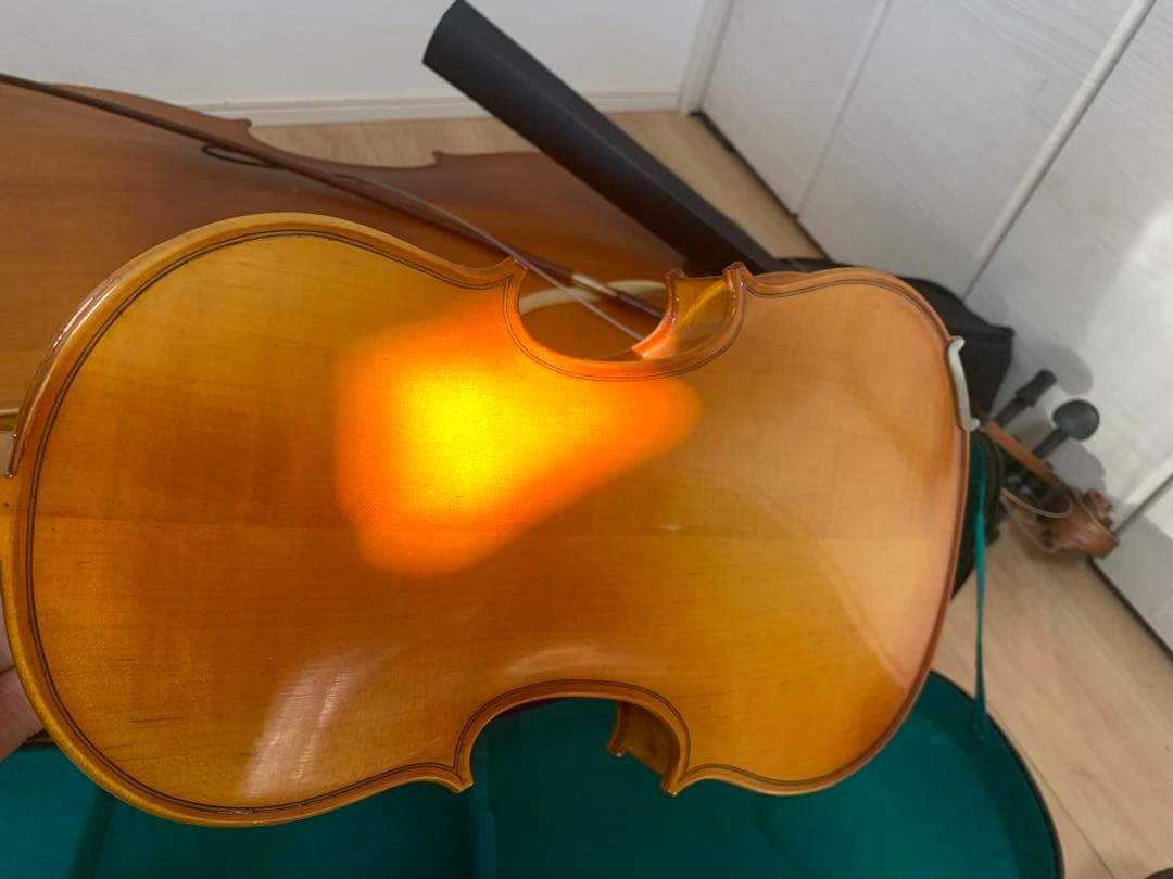 チェロジャンク　のみ