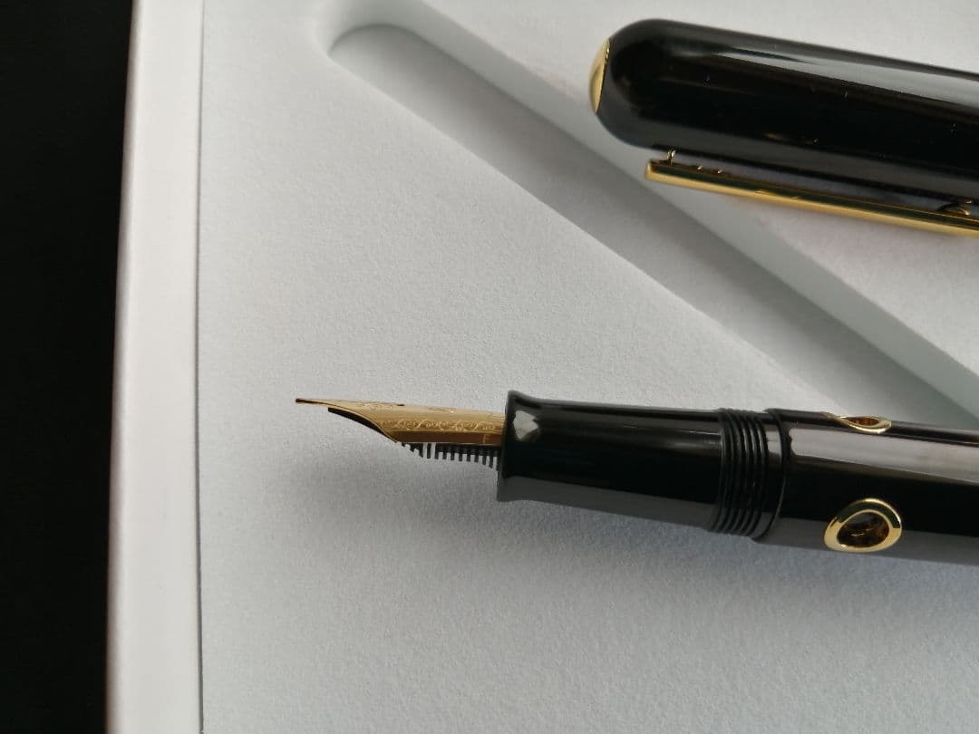 ナーワル（ナーヴァル）ノーティラス セファロポッド 万年筆　Fサイズ