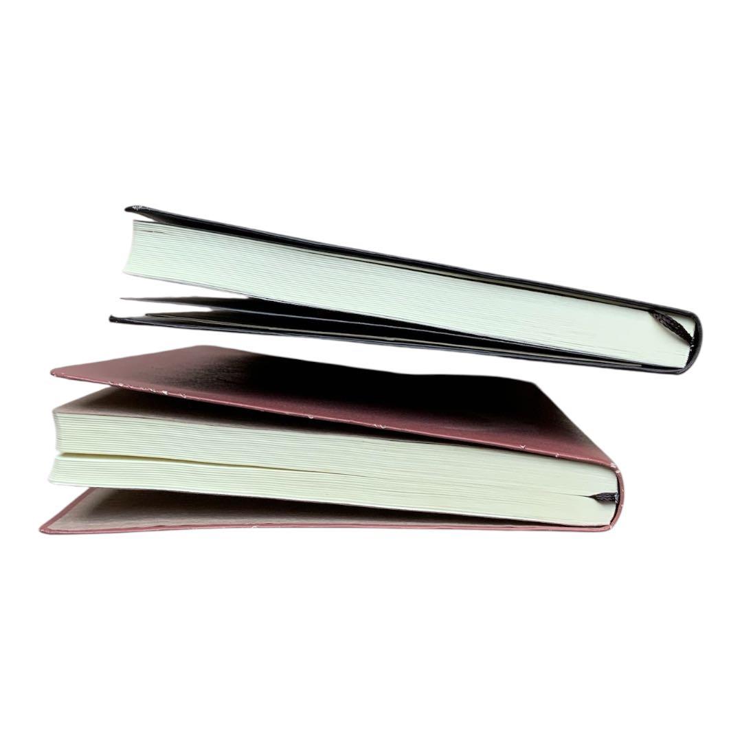 中村天風 心に成功の炎を 成功の実現 2冊セット