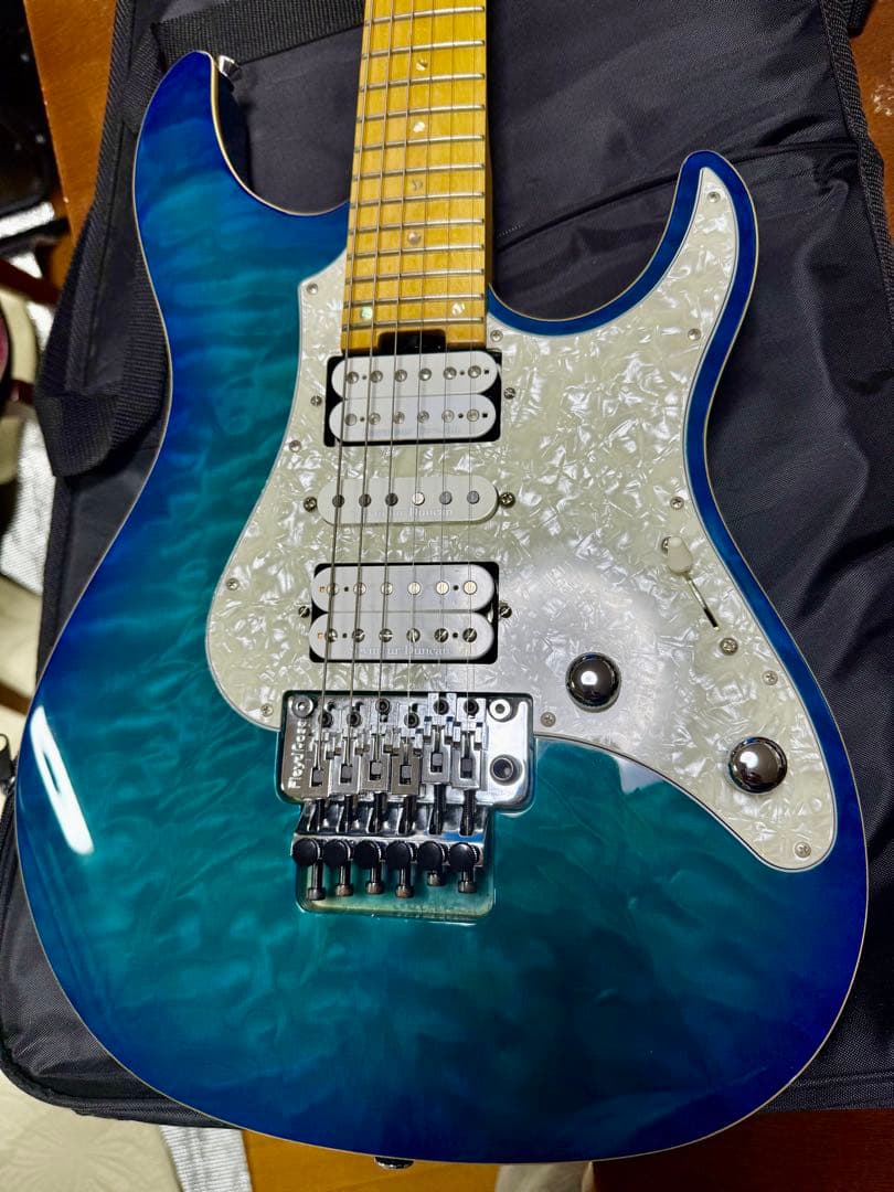 ESP Edwards ギター　snapper