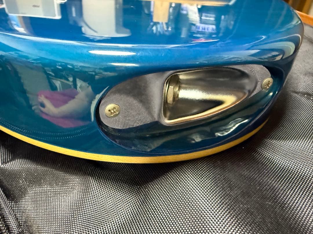 ESP Edwards ギター　snapper