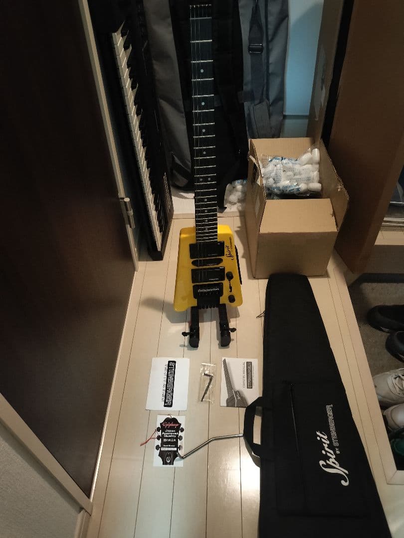 ギター STEINBERGER Spirit GT-PRO DELUXE
