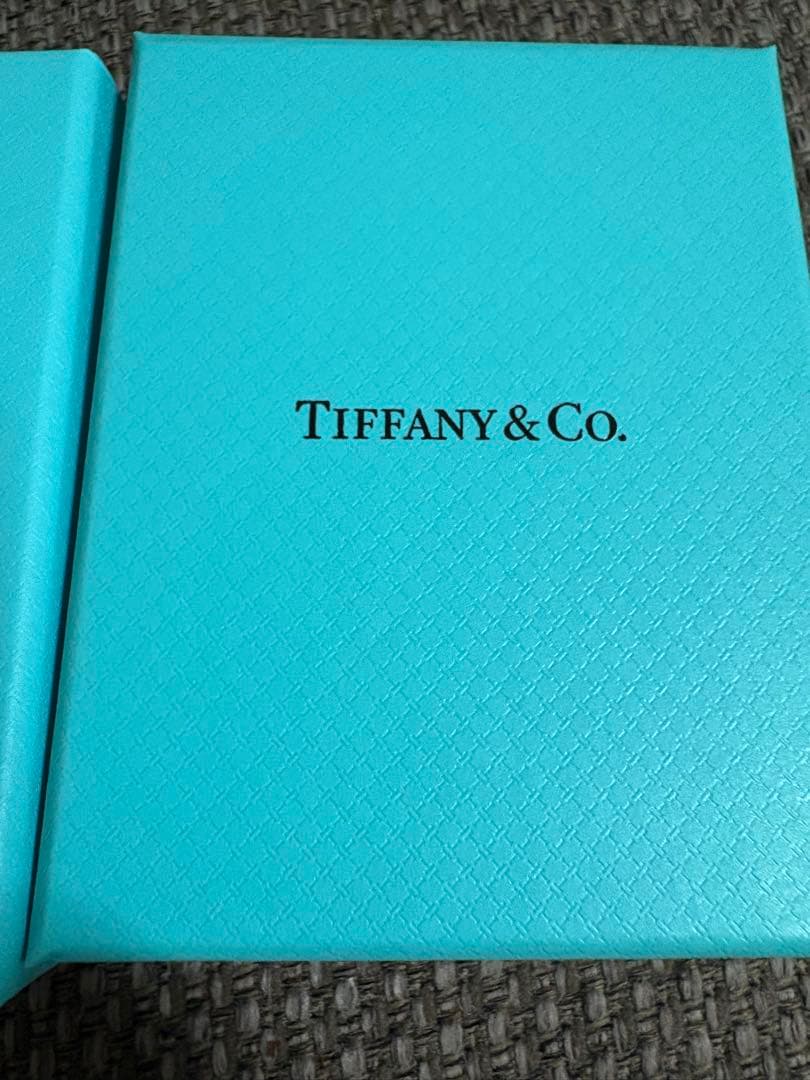 国内現行品新品未使用ティファニ空箱巾着袋10セット