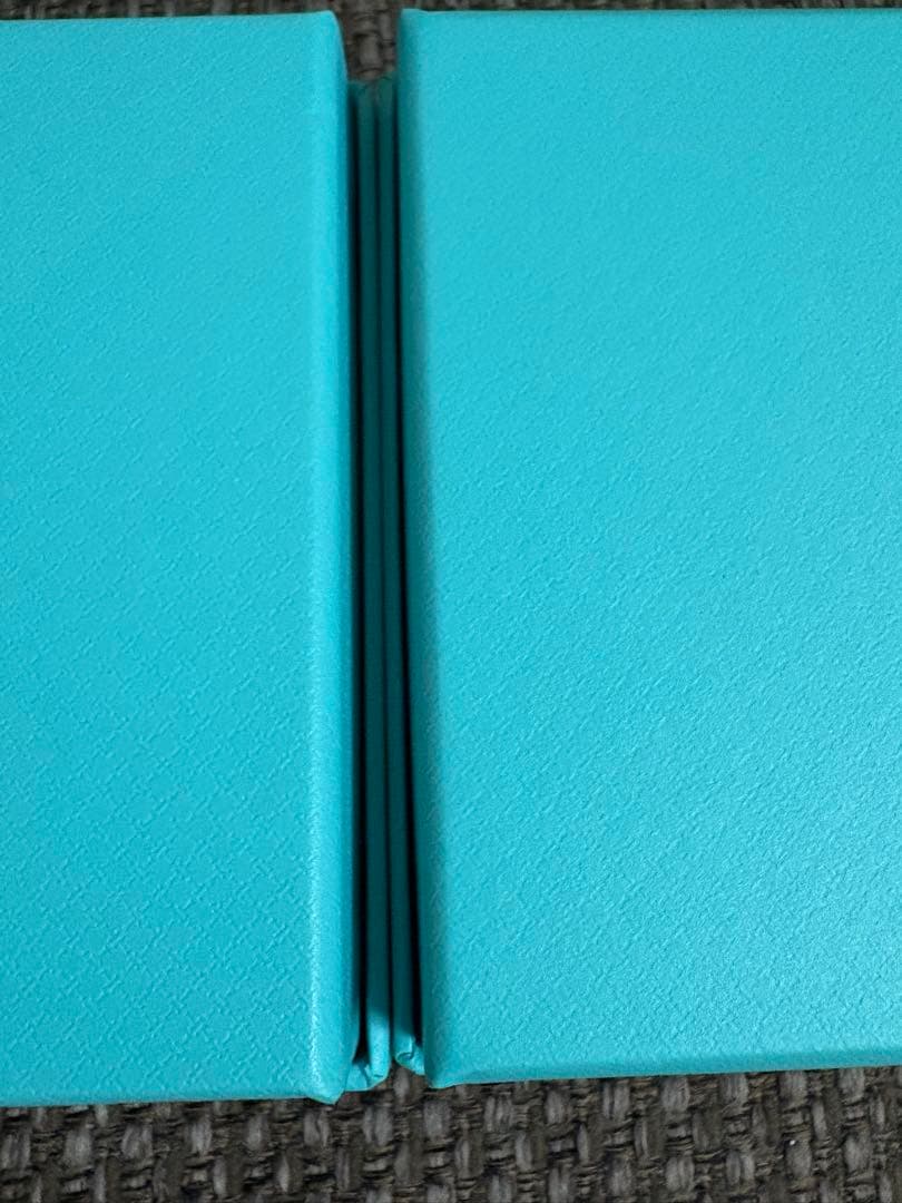 国内現行品新品未使用ティファニ空箱巾着袋10セット