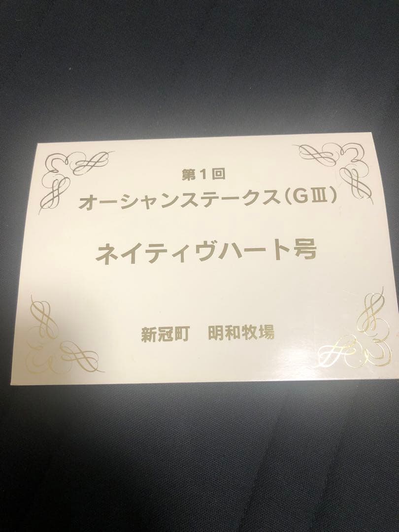 非売品　記念品　オグリローマン　桜花賞　激レア　関係者　オグリキャップ　妹